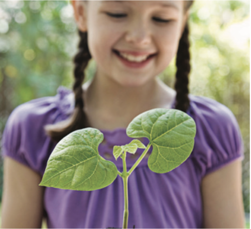 niña planta pequeña