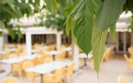 Comedor exterior detalle.jpg