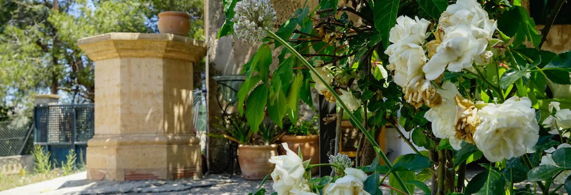 Villa Moli Detalles rosas blancas.jpg