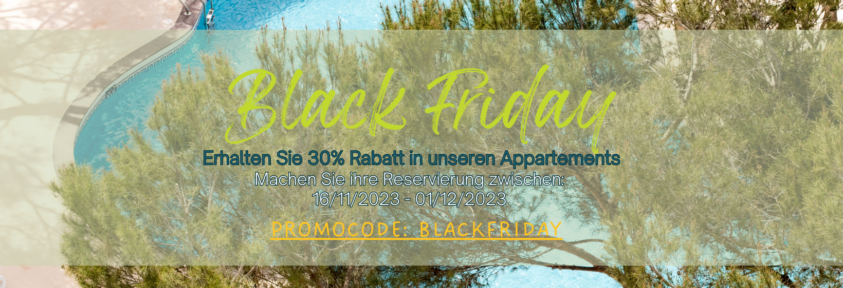 blackfriday 30%